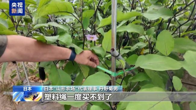 日本农业生产承压 成本上涨困扰农户