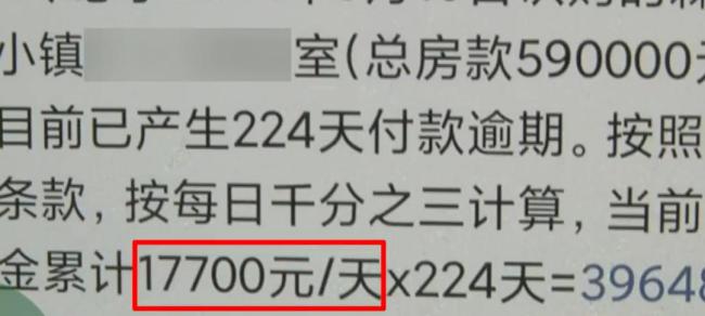 老人贷款买海景房 欠近400万违约金 销售人员诱导购房