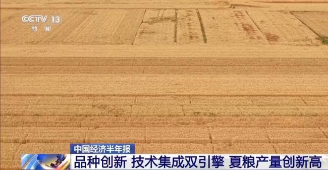 我国夏粮产量创新高 丰收的背后有哪些硬核支撑？