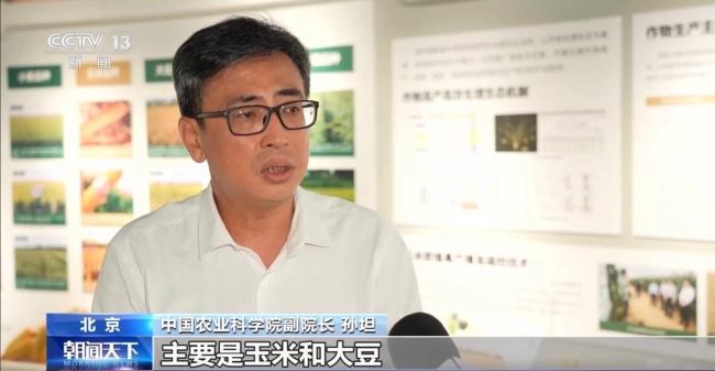 我国夏粮产量创新高 丰收的背后有哪些硬核支撑?