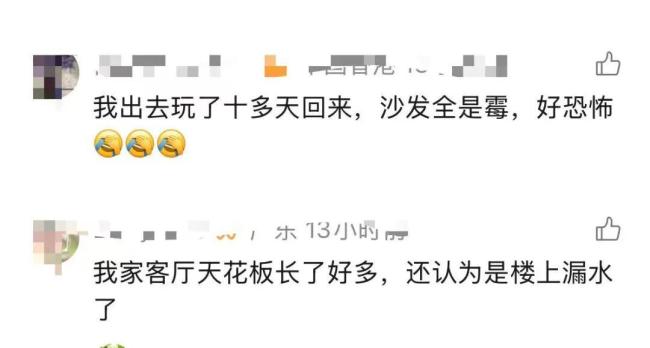 女子发现家中长“黑色小刷子” 沙发下的健康隐患