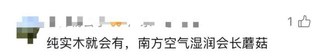家中长出“黑色小刷子”千万别碰 警惕隐藏的健康威胁
