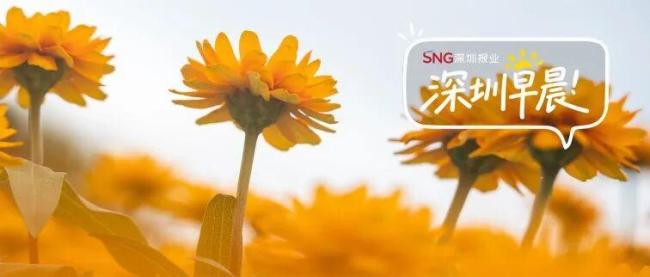 上四休三但降工资是福利还是套路