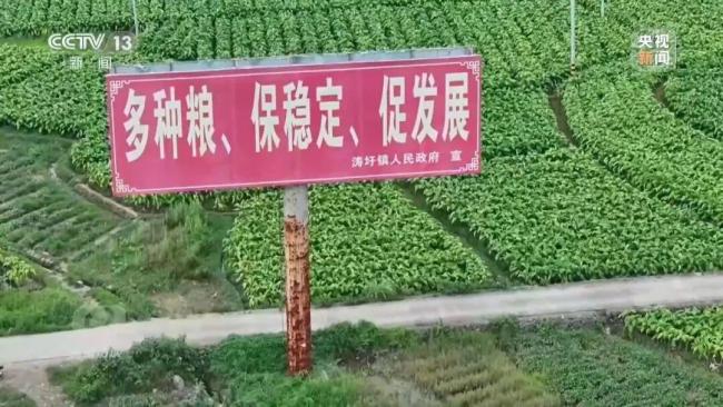 起底湖南江华水稻虚假台账