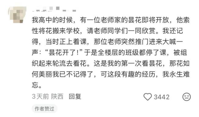邀请全楼人看昙花的邻居真棒 温情回忆满满