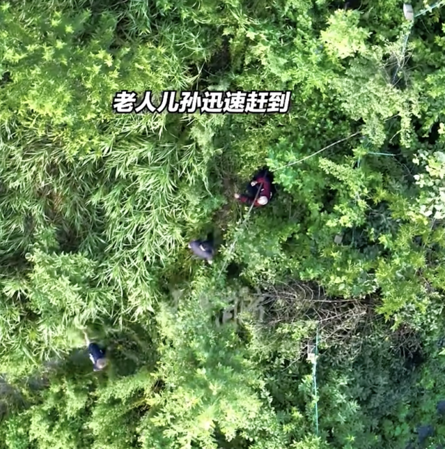 天津消防员用无人机找回失踪老人