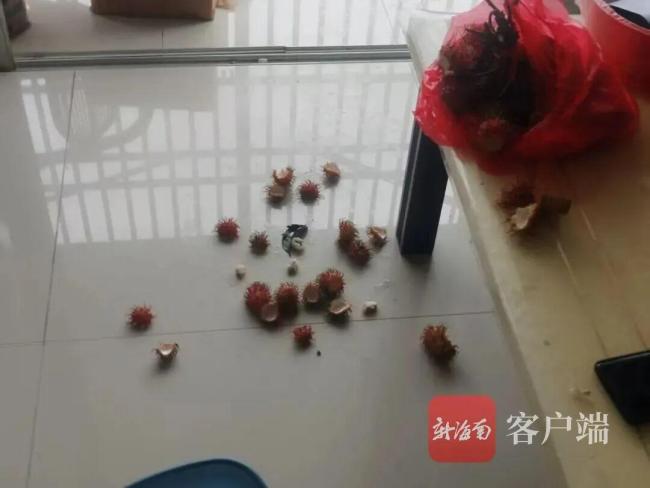 爬阳台偷水果 小区遭“泼猴”骚扰