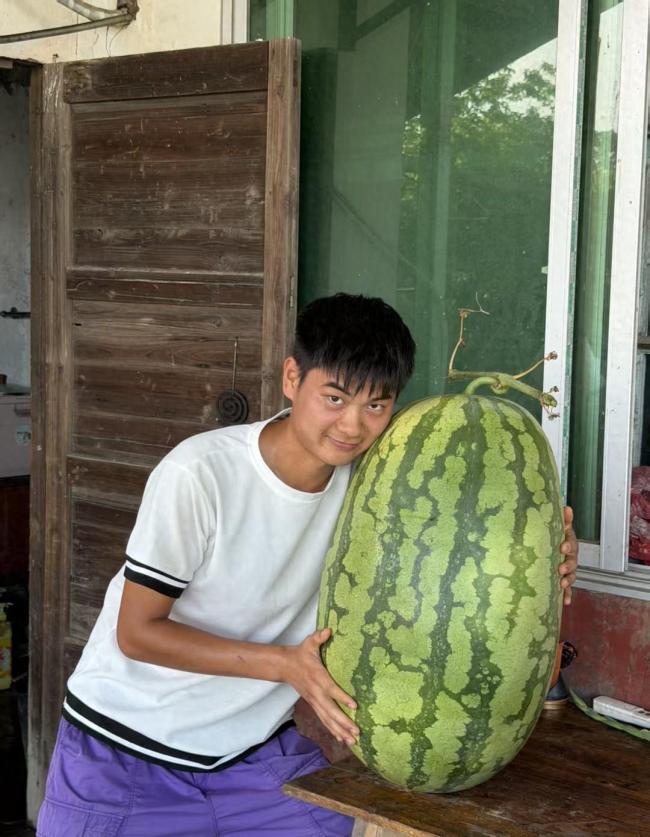 00后小伙种出百斤西瓜