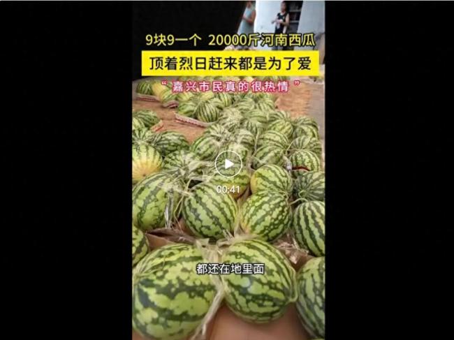 嘉兴1小时抢空65000斤河南西瓜 负责人：嘉兴市民真的很热情