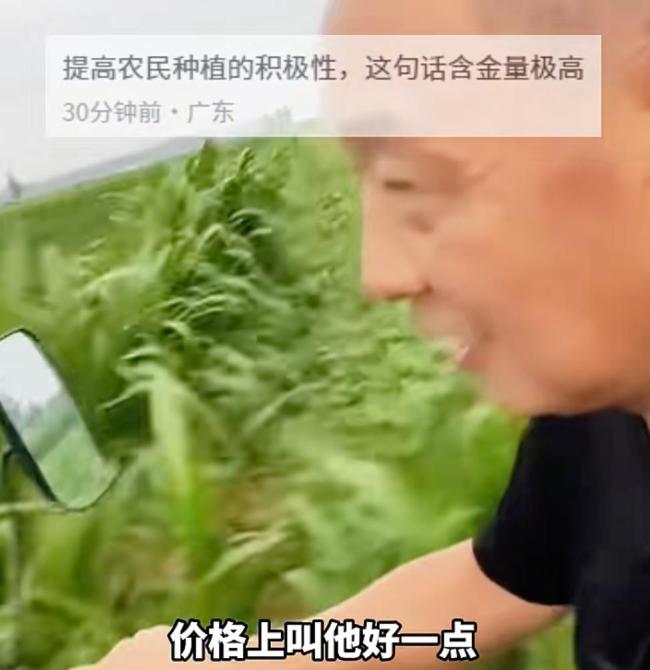于东来加价2倍下单5000斤甜瓜 支持瓜农温暖行动