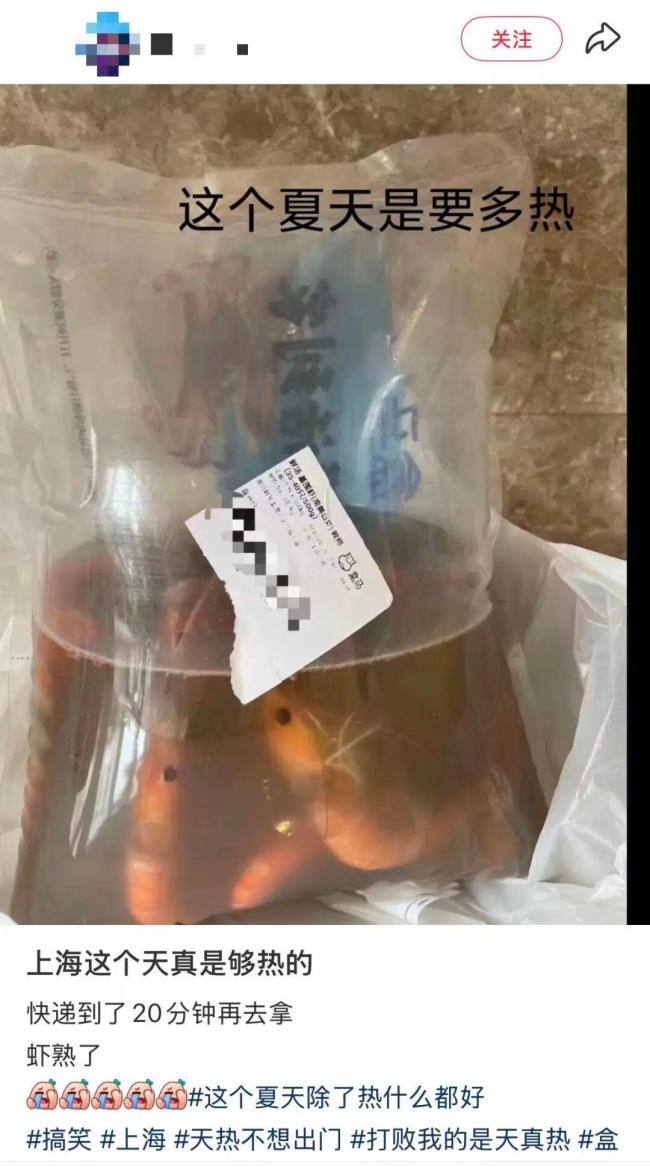 杭州热到生鱼片送达时变熟鱼片 高温天气引发热议