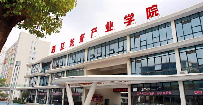 学院400多人没毕业就被抢光