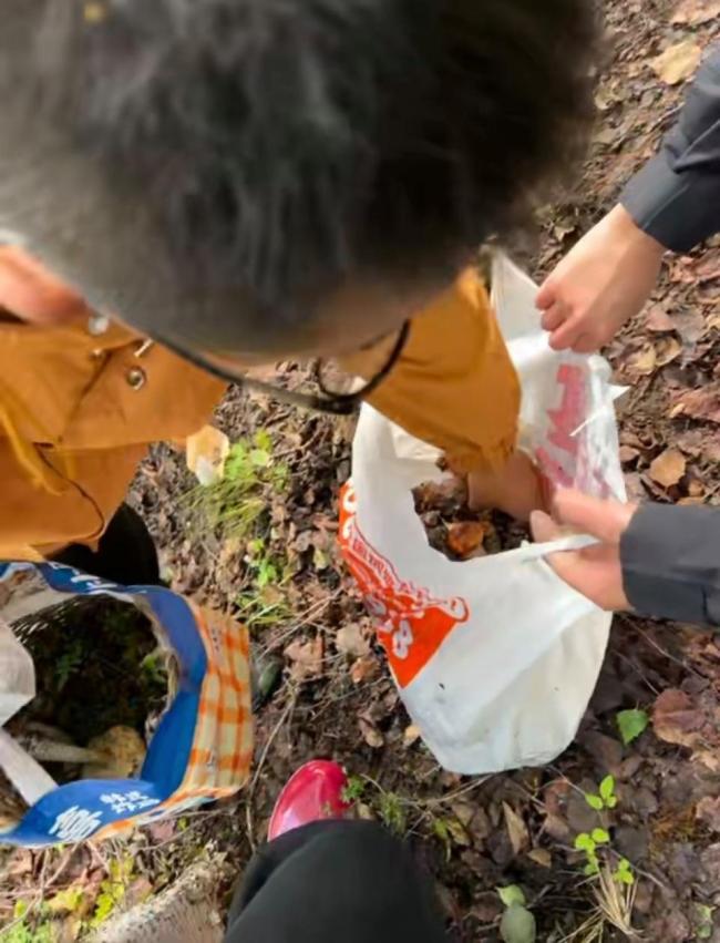 情侣采菌当事人称AI不如本地人靠谱