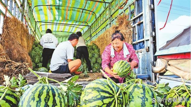 29吨河南西瓜到广东 数百人排队支持 退役军人爱心助农