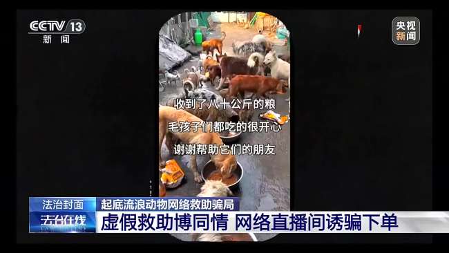 央视曝光救助流浪狗直播骗局