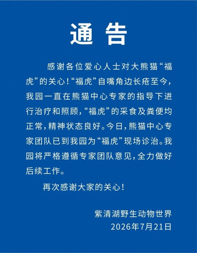 大熊猫“福虎”嘴角生疮，官方最新回应来了