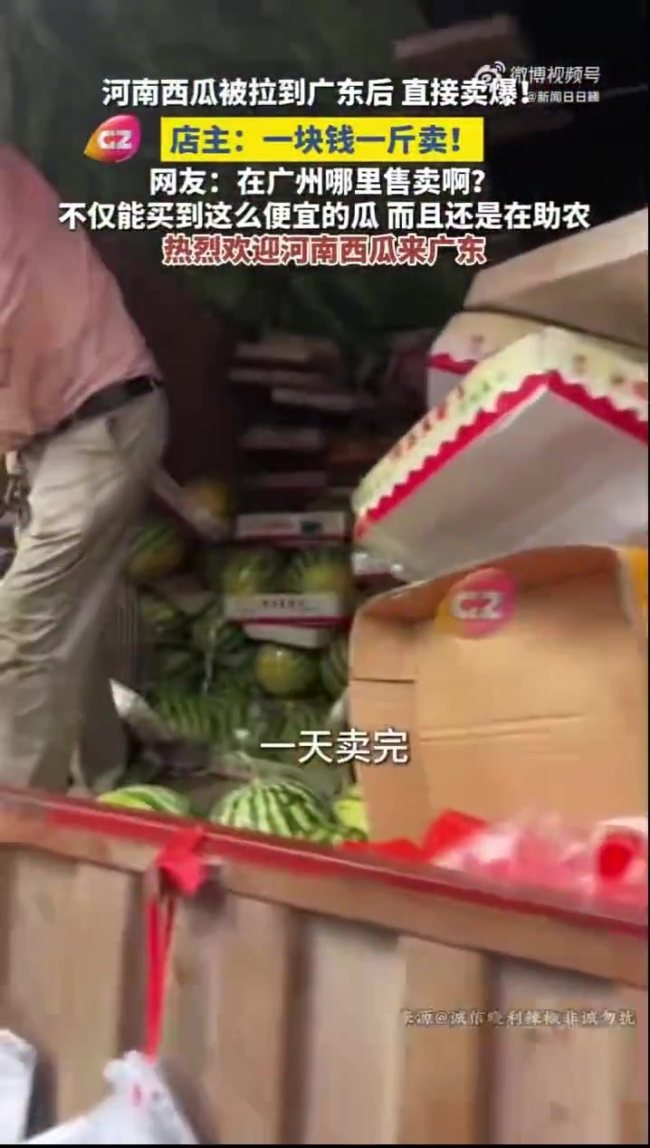 一万四千多斤瓜一天卖完:广州老乡爱心接力助销