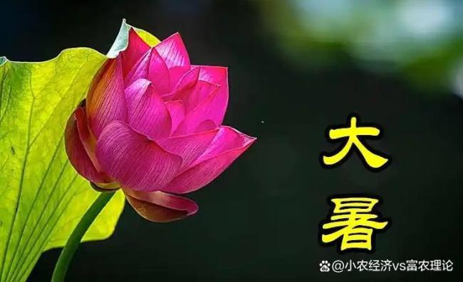7月23日3时13分迎大暑 早大暑凉飕飕
