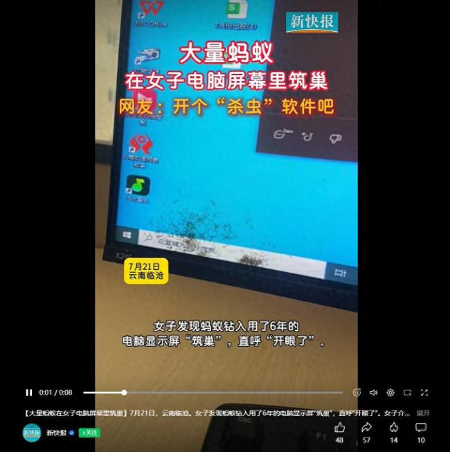 蚂蚁钻入用了6年的电脑显示屏筑巢