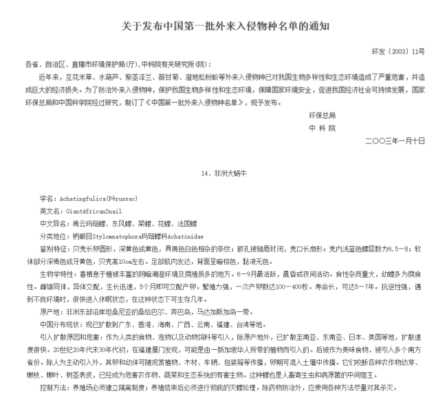危险的非洲大蜗牛正在全国扩张 威胁生态与健康