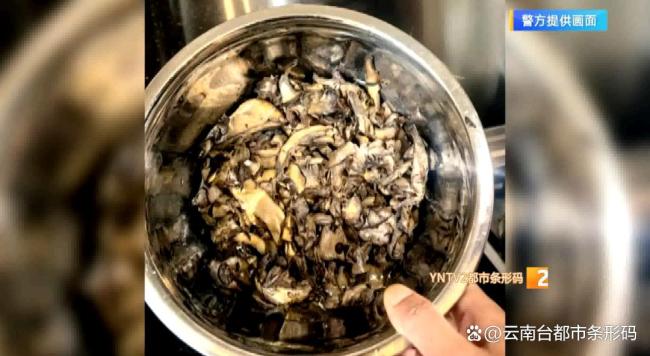 女子尖叫狂敲门 警察追问：吃菌子没 疑因食用见手青中毒