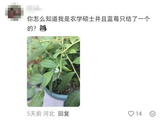 农学生的“毕业论文”又被偷了 追羊成日常挑战