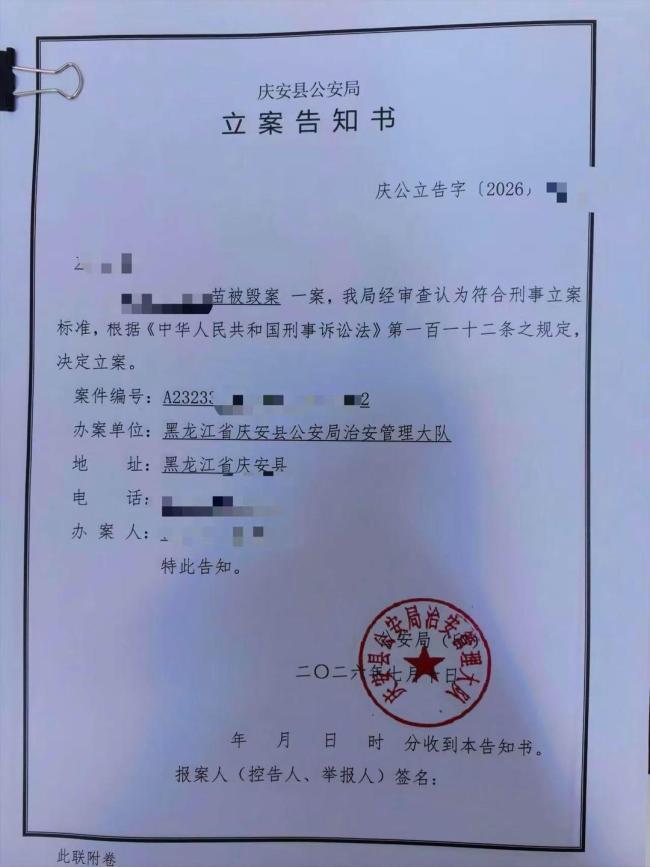 23亩玉米被毁农户征集线索 寻找破坏者