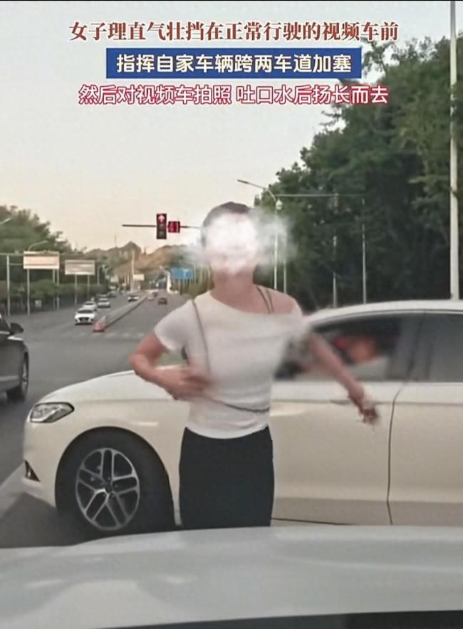 夫妻拦车跨实线加塞还辱骂他人