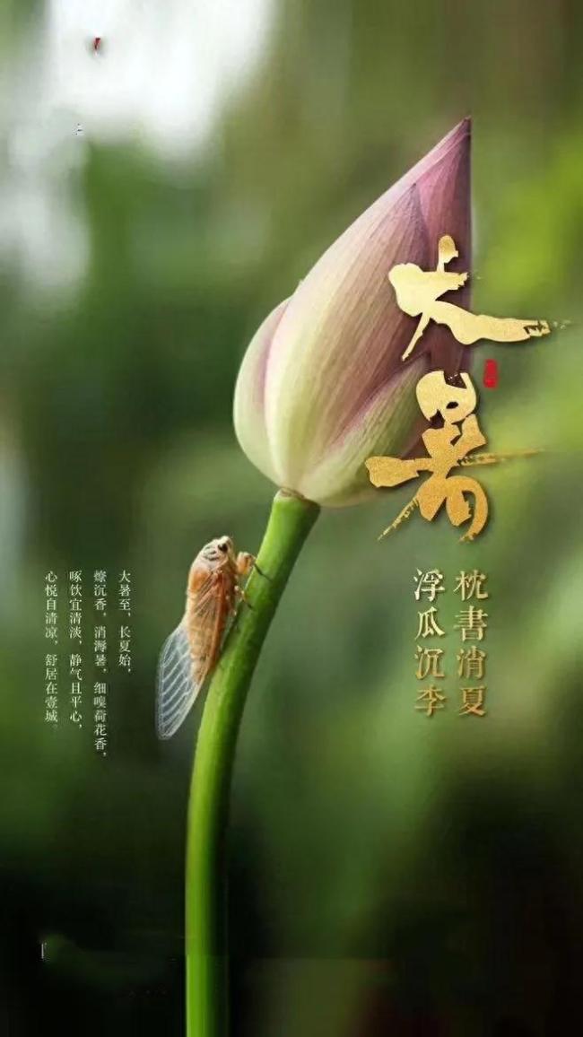 大暑最热但万物繁茂 盛夏生命的狂欢