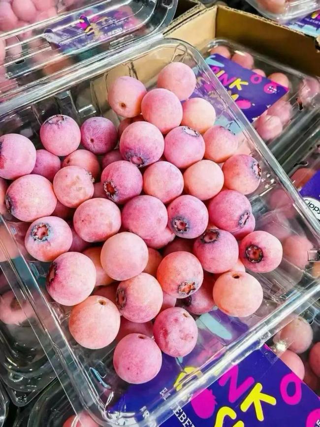 粉色蓝莓1斤640元 和普通蓝莓差20倍 梦幻外观引发热议