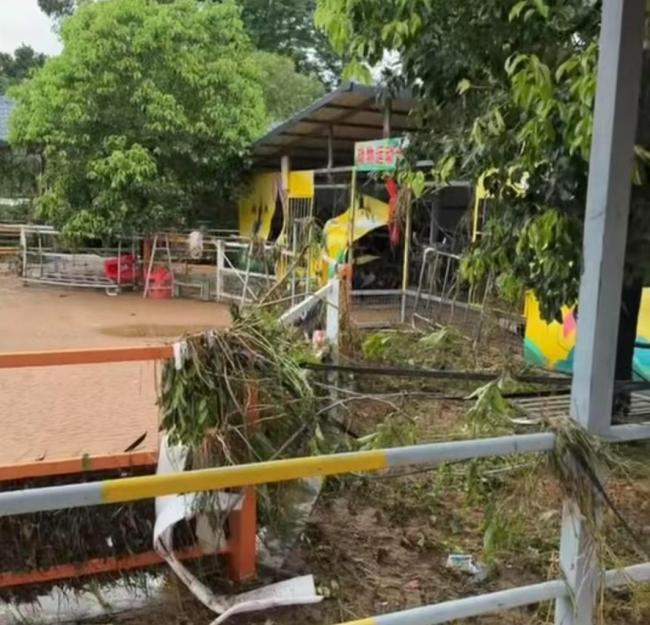 三只狮子葬身洪水后动物园遭网暴 园方解释锁笼决定