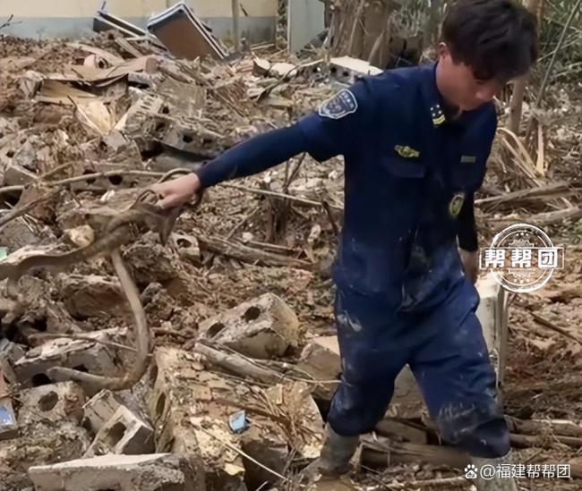 福建捕蛇能手在广西排除蛇患