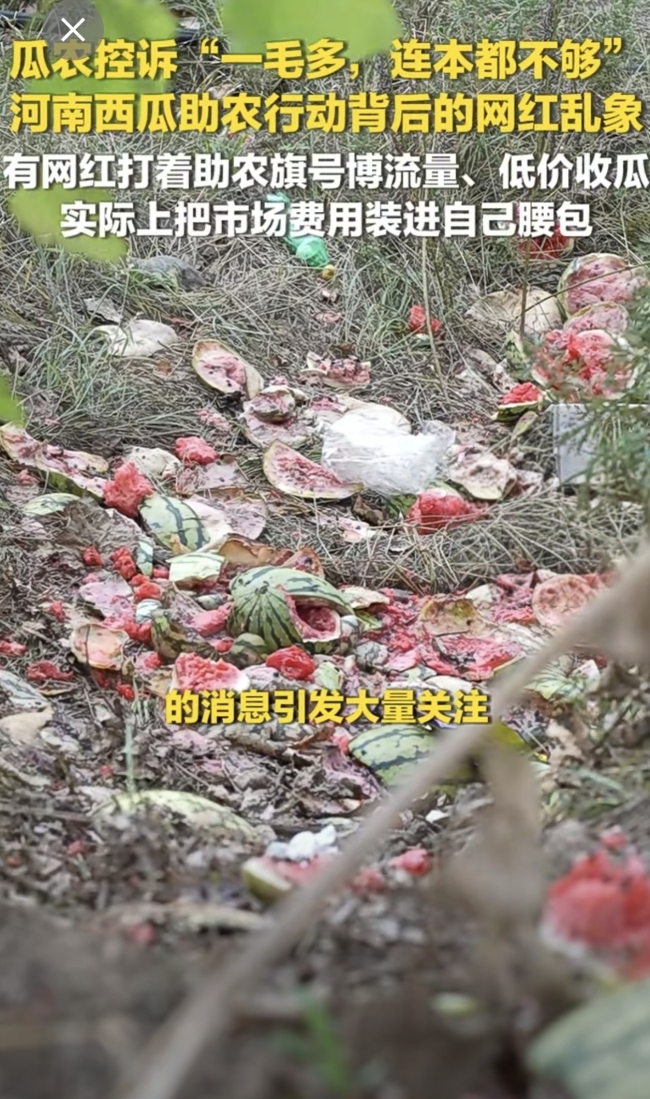 媒体：爱心西瓜不容流量收割