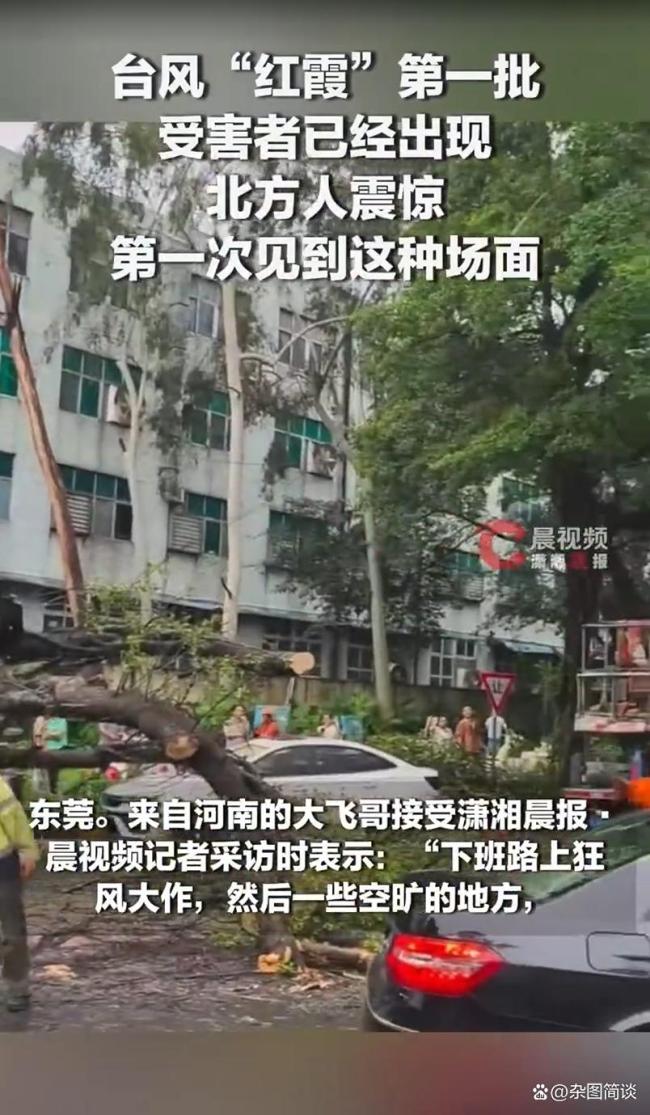 台风红霞第一批受害者已经出现 视觉与心理冲击引发热议