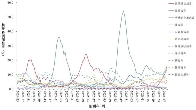 有的药店店员不知道新冠有特效药 公众需科学看待尽早用药
