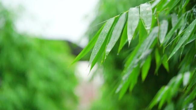 未来三天北京持续闷热 湿度大易中暑