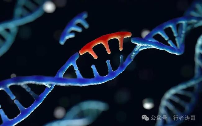582万换7天生命，一篇《自然》论文删掉了一个6岁女孩