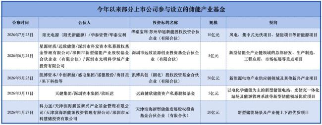 谁在入局储能基金