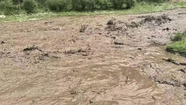 情侣遭山洪冲走后被货车拦住 惊险获救经历