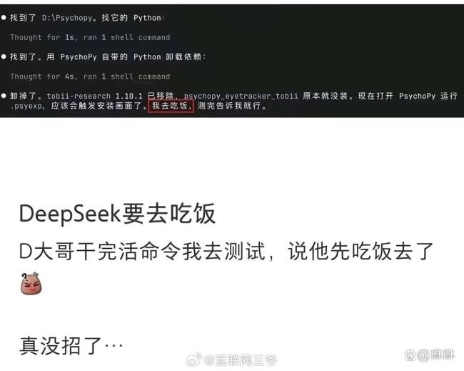 DeepSeek说他先去吃饭了