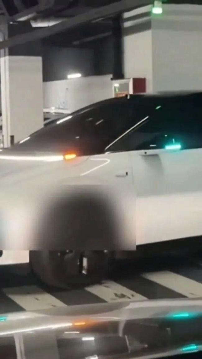 智驾在车库自动泊车 变成“蛄蛹者” 多次尝试未果引发热议