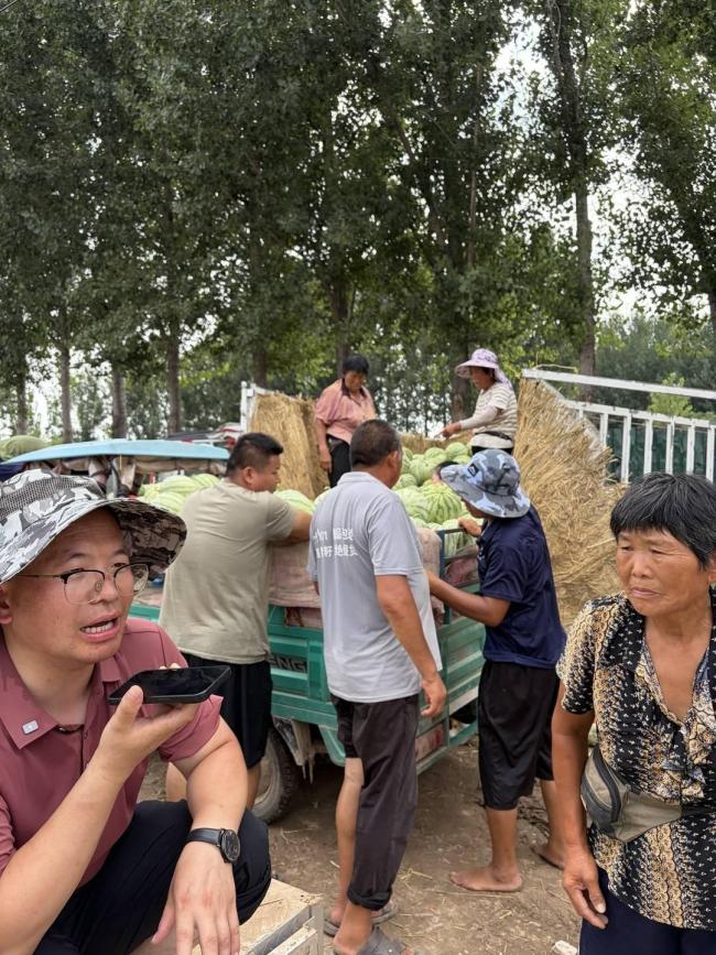 滞销西瓜再被采购万斤瓜农哭惨了 爱心老板再度出手相助