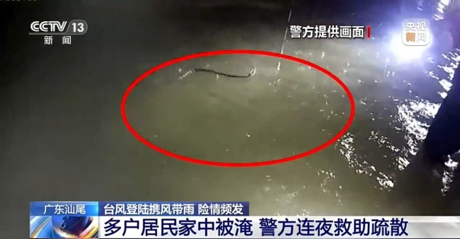 台风“红霞”致多地内涝 汕尾警方背老人安全转移