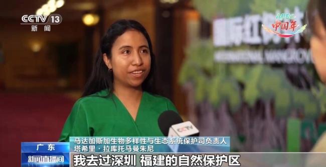 APEC林业部长级会议共绘亚太绿色未来 中国经验引关注