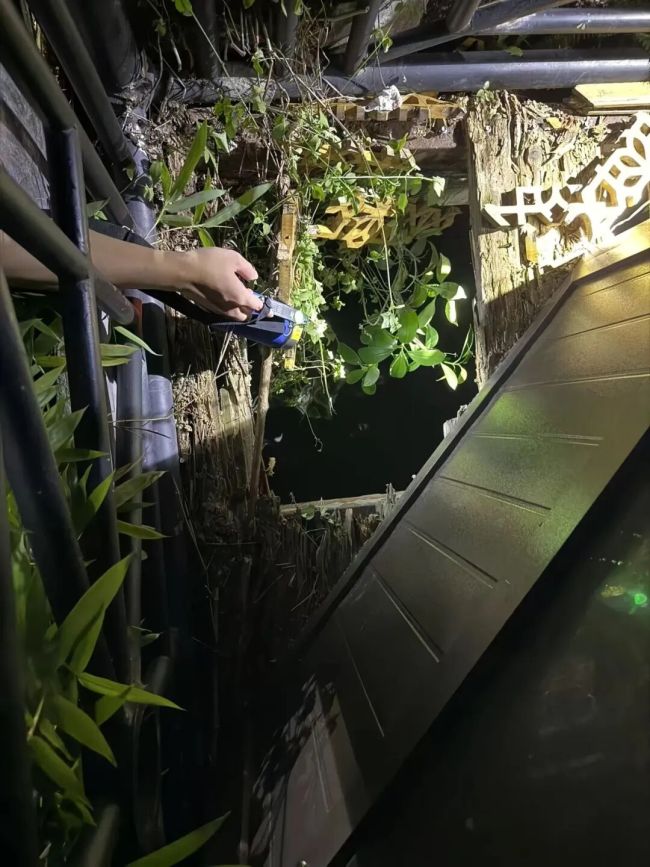 15岁女孩凌晨到景区游玩后溺亡 木板碎裂酿悲剧