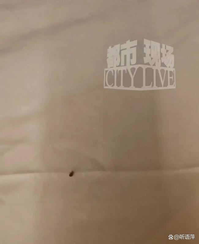上海维也纳酒店被指房间爬满床虱