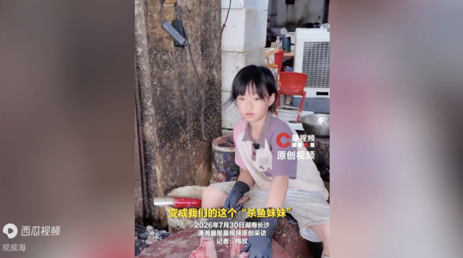 11岁杀鱼女孩父母双手被泡到发白 生活逼着长大