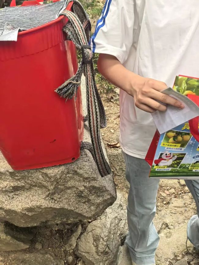 福州姐弟背饮料爬鼓山售卖 坚韧身影引关注