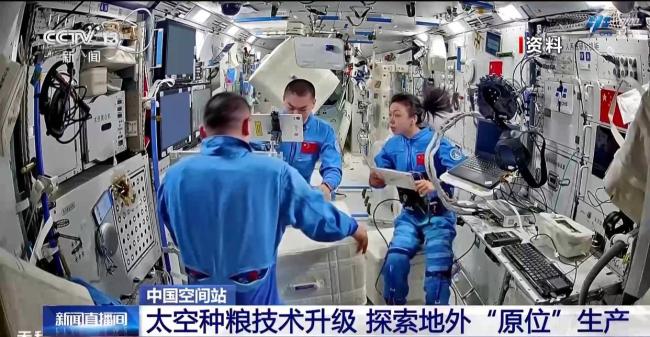 在轨连续培养两代水稻实验进展顺利 太空种粮技术升级