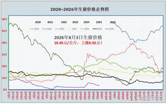 8月3日全国猪价普遍上调 养殖户乐开花
